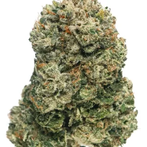 Alien Candy Popcorn - Purchase Premium AAAA Cannabis Exclusively on Pride Pulse
