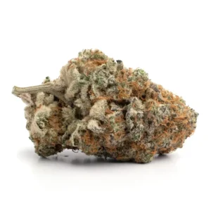 Premium Strawberry Cough buds with bright green colouring, orange pistils, and a thick layer of resinous trichomes.